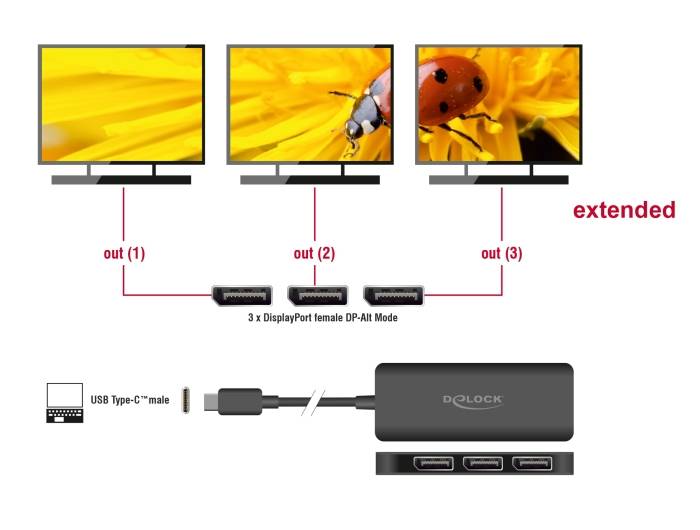 Delock USB Type-C Splitter DP Alt Mode zu 3 x DisplayPort MST 4K 60 Hz - Digital-2