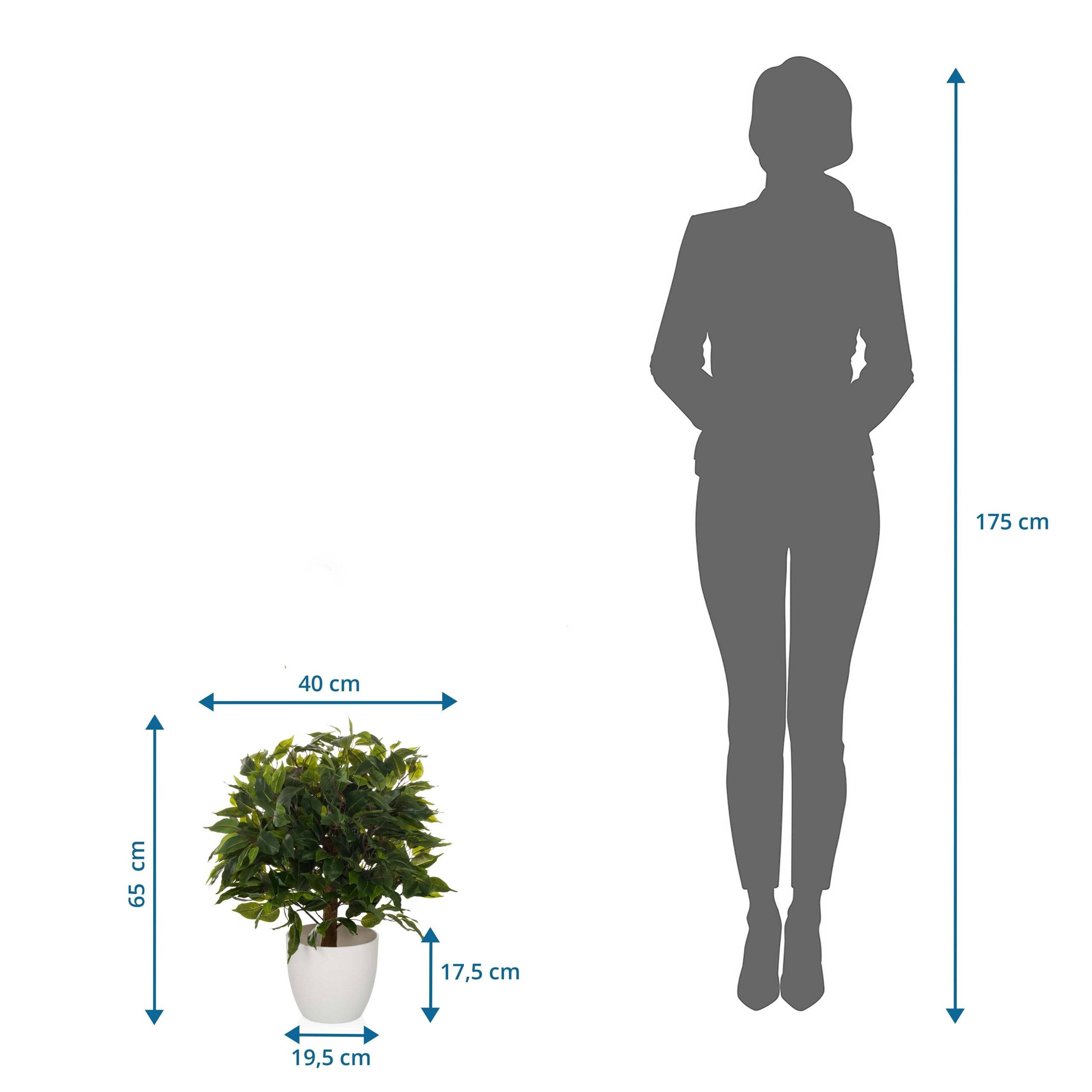 Kunstpflanze Kunstbaum FICUS II 65 cm grün hjh OFFICE-1