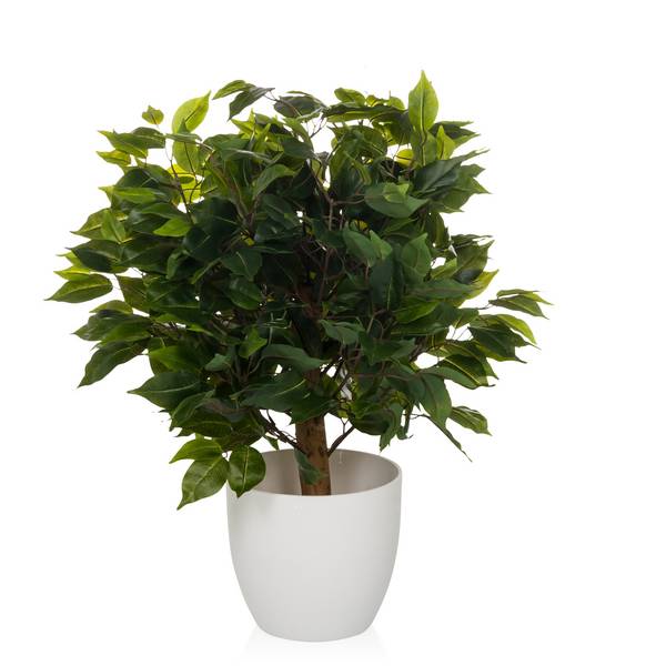 Kunstpflanze Kunstbaum FICUS II 65 cm grün hjh OFFICE