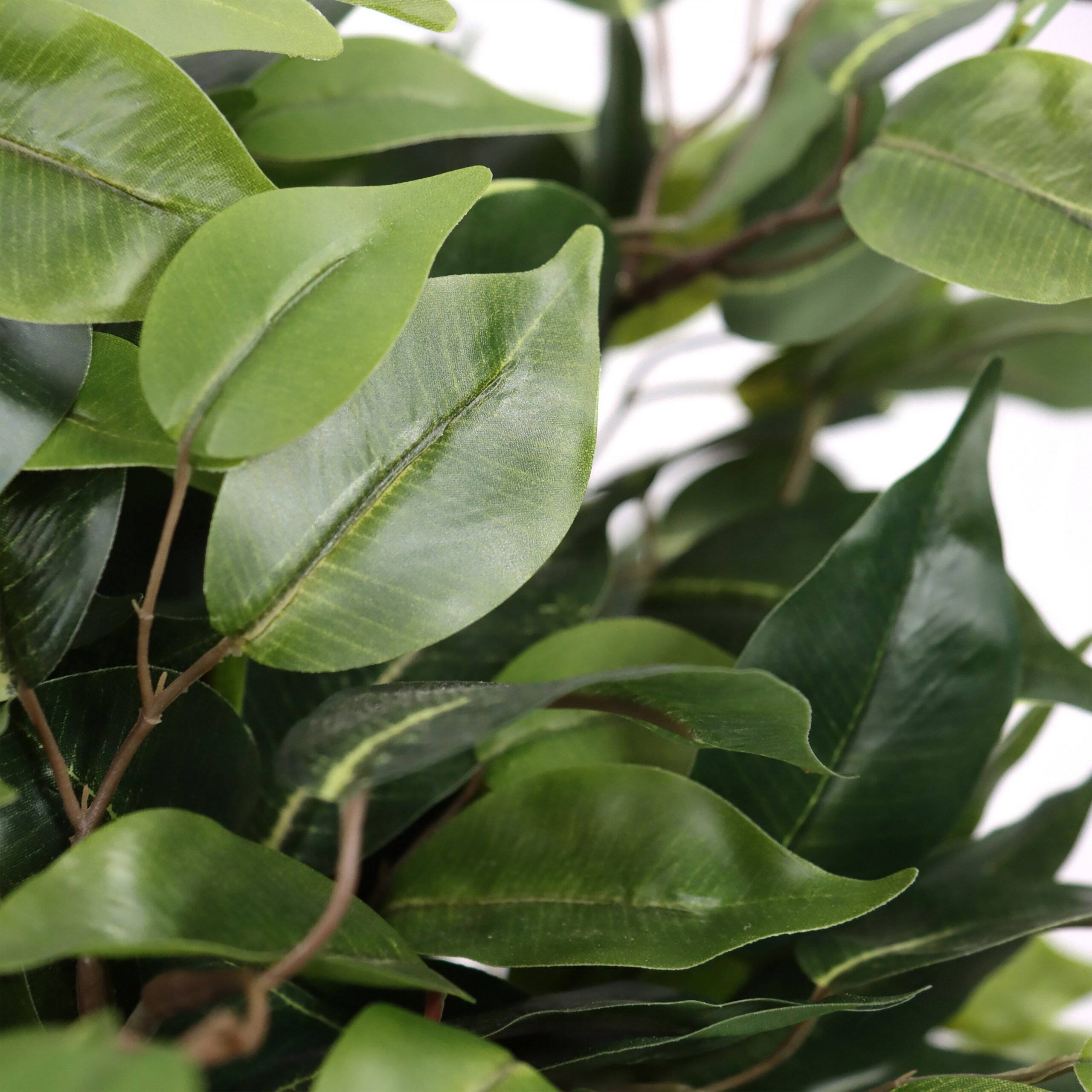 Kunstpflanze Kunstbaum FICUS II 65 cm grün hjh OFFICE-2