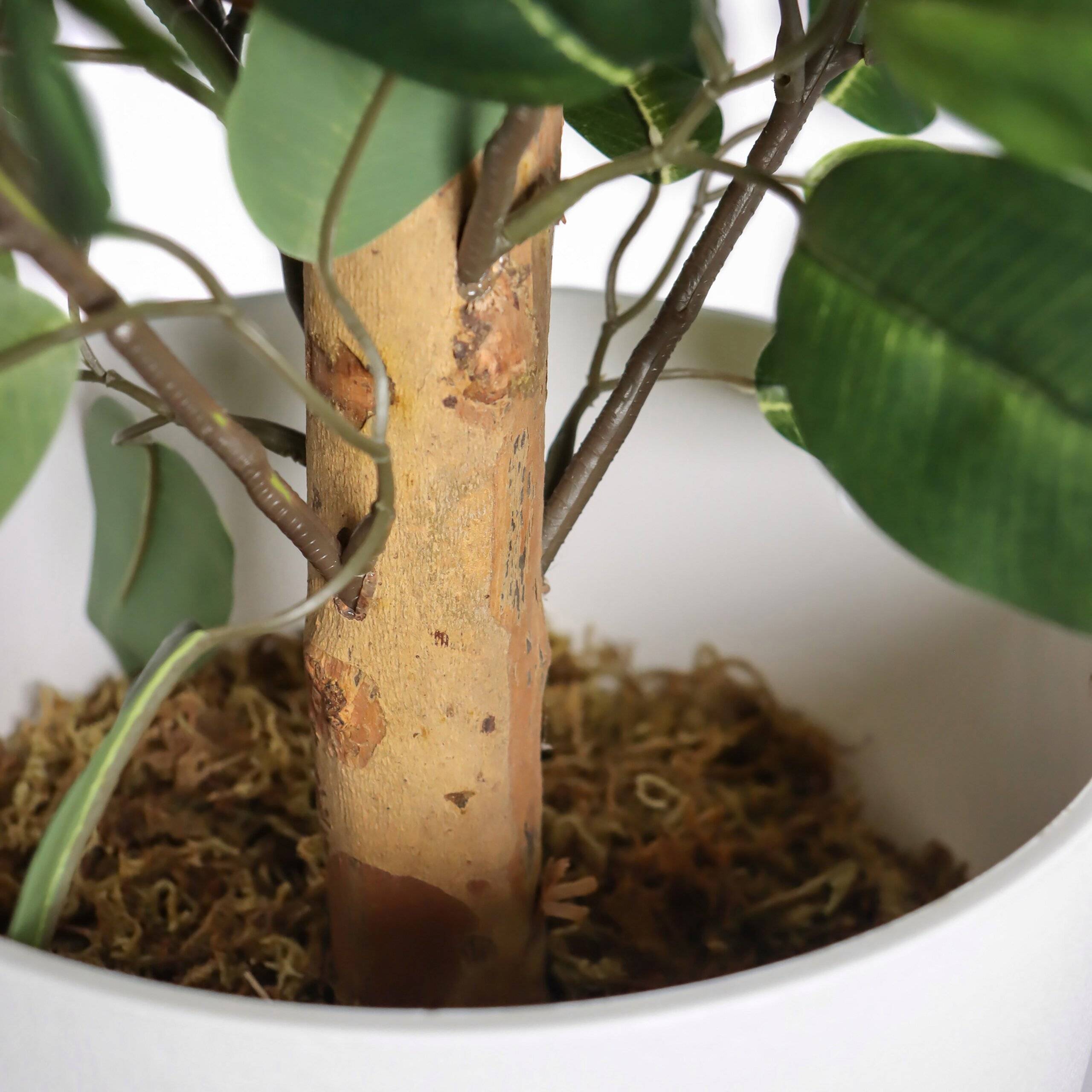 Kunstpflanze Kunstbaum FICUS II 65 cm grün hjh OFFICE-3