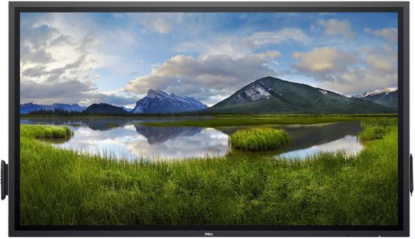 Dell P6524QT - 164 cm (65") Diagonalklasse (163.906 cm (64.53") - sichtbar) LCD-