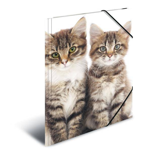 Sammelmappe A4 PP Katzen-1