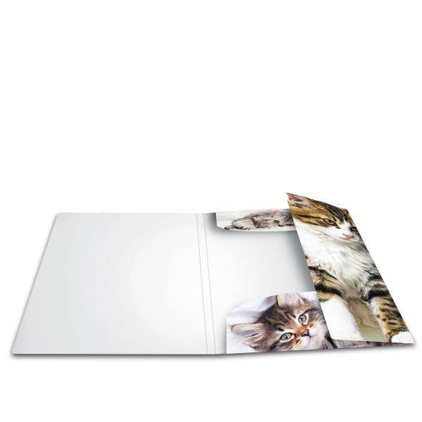 Sammelmappe A4 PP Katzen-2