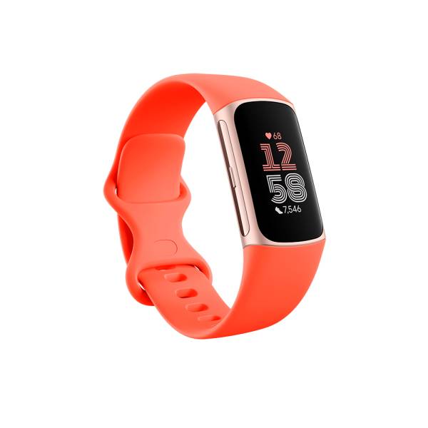 Fitbit Charge 6 - Champagne Gold Aluminium-1