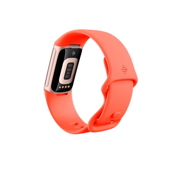 Fitbit Charge 6 - Champagne Gold Aluminium-2
