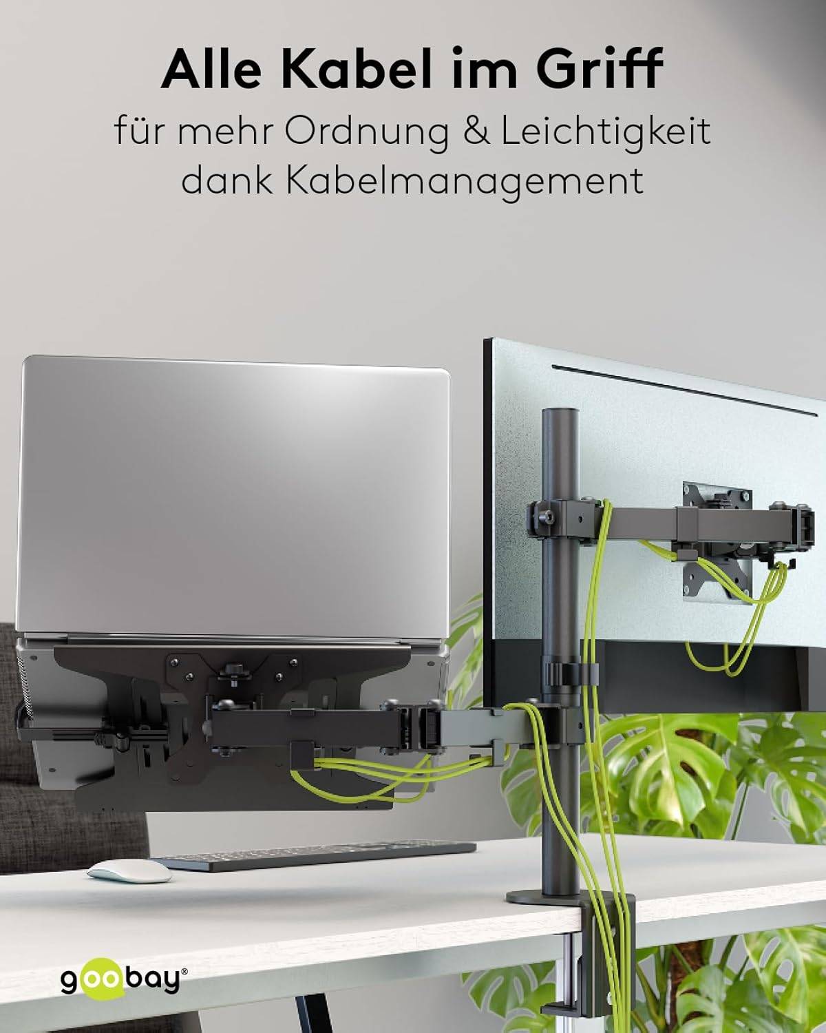 Goobay 70815 Monitorhalterung mit Laptop-Arm (4,5 kg) zur Tischmontage 33 cm (13") - 81 cm (32") schwenkbar neigbar 8 kg-6