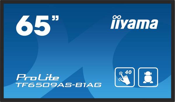 Dis Public 65 Iiyama TF6539AS-B1AG