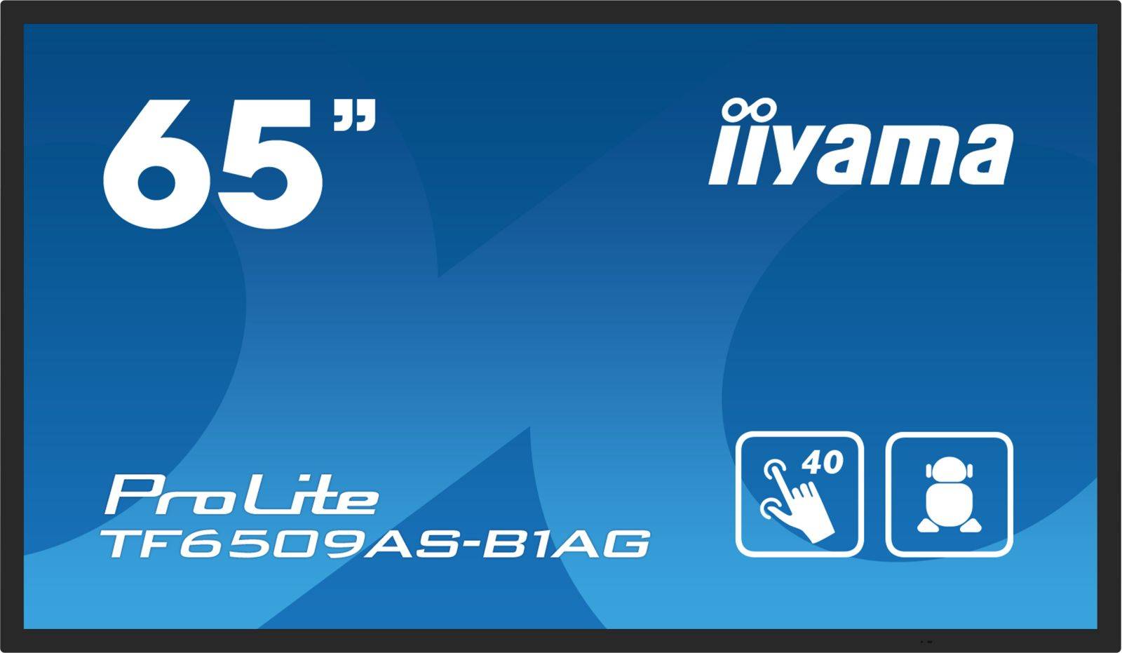Dis Public 65 Iiyama TF6539AS-B1AG-0