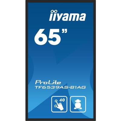 Dis Public 65 Iiyama TF6539AS-B1AG-1
