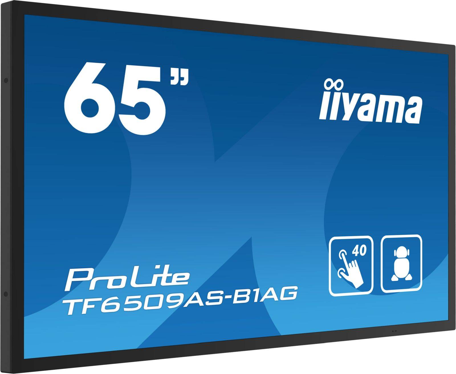Dis Public 65 Iiyama TF6539AS-B1AG-2
