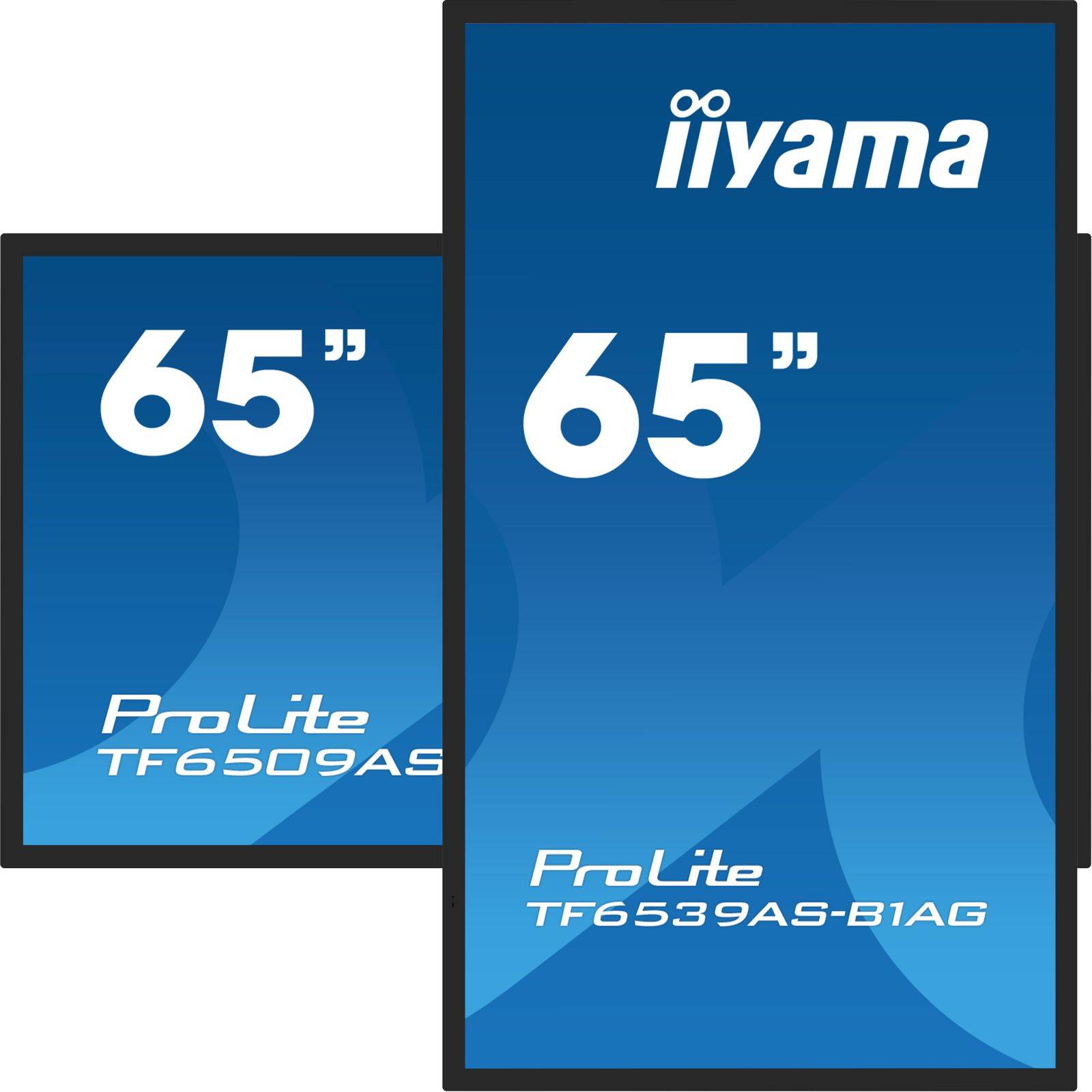 Dis Public 65 Iiyama TF6539AS-B1AG-3