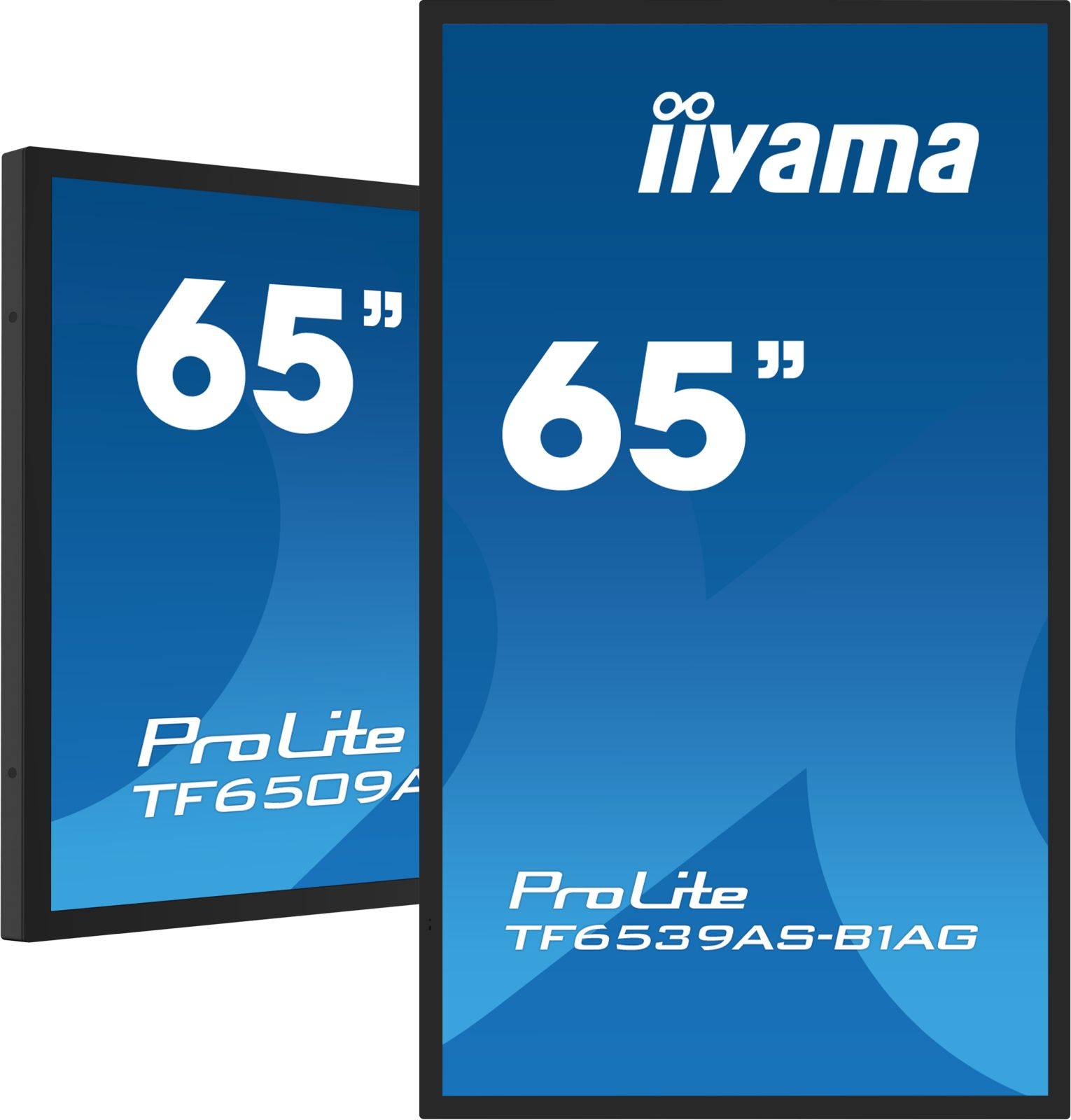 Dis Public 65 Iiyama TF6539AS-B1AG-4