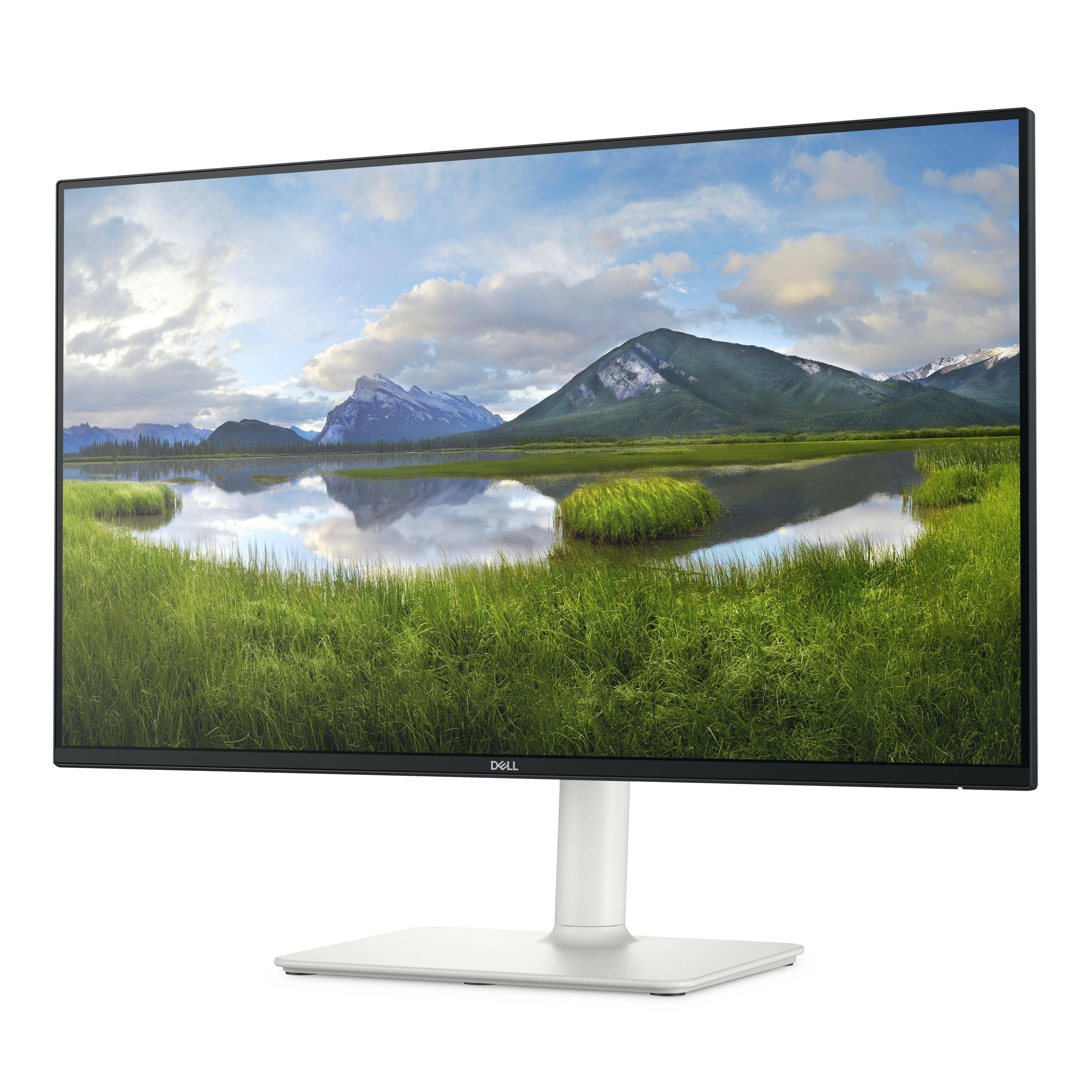 Dell S2725HS - LED-Monitor - 68.6 cm (27") - 1920 x 1080 Full HD (1080p)-2