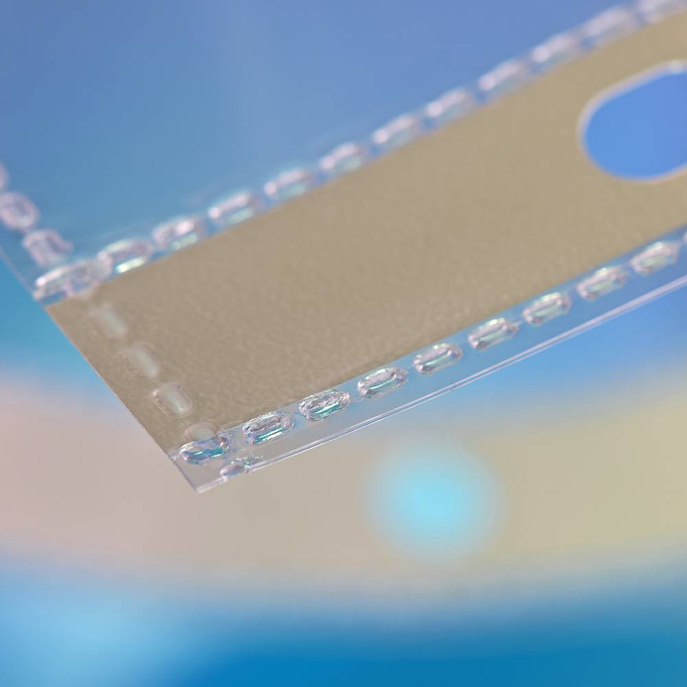 Sichthülle,f. Dokumente/Ausweise,DIN A4,HxB 305x230mm,PP,transparent,11-fach Lochung-4
