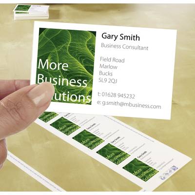 Visitenkarte von 'More Business Solutions', zeigt Gary Smith, Business Consultant, mit Kontaktdaten und Logo im grünen Design.