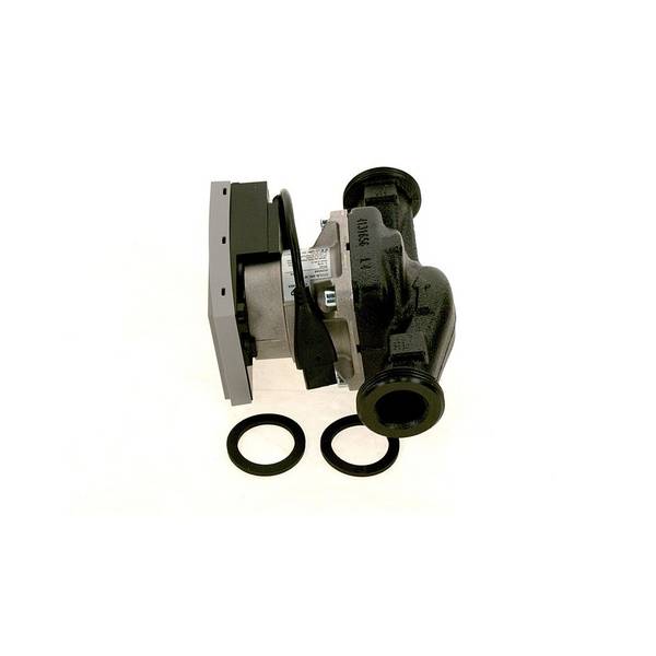 Bosch Pumpe 25/6-180 GT LE, 8738204434