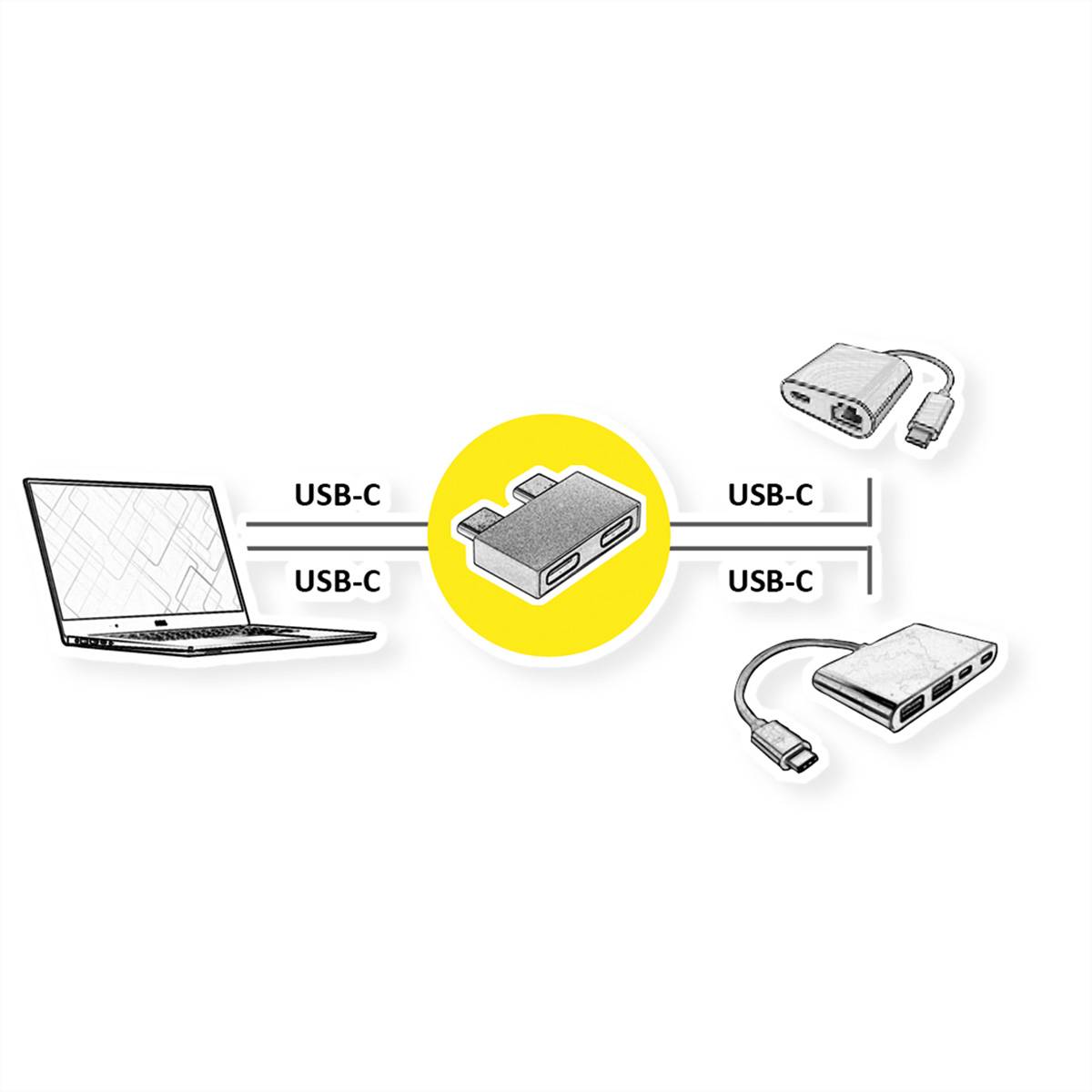 ROLINE USB 3.2 Gen 2 Adapter, 2x USB Typ C - 2x Typ C, ST/BU, silberfarben-1