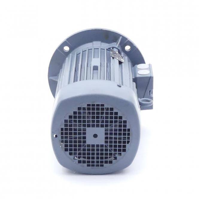 VEM motors Drehstrommotor IE2-WE1R 100 LX 4 TPM140 (1021714001201H)-3