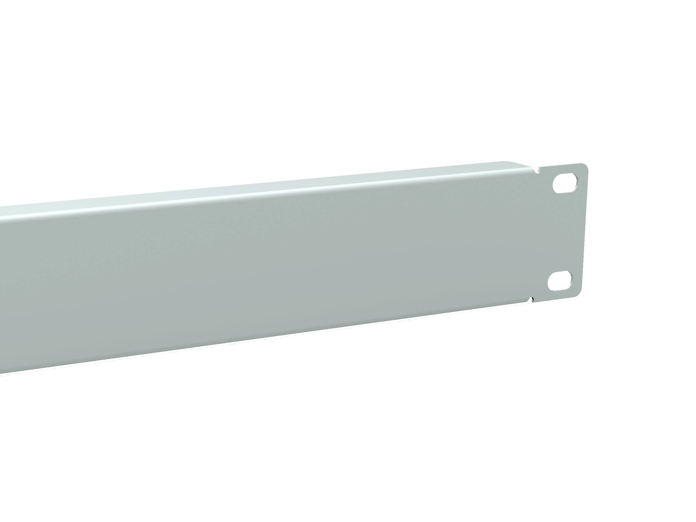 Equip Blindabdeckung - RAL 7035, Hellgrau - 1U - 25.4 cm (10")-2