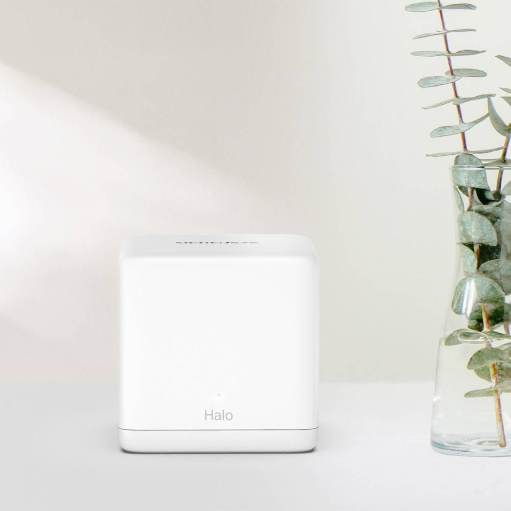 Halo H60X V1 - WLAN-System - (2 Router)-1