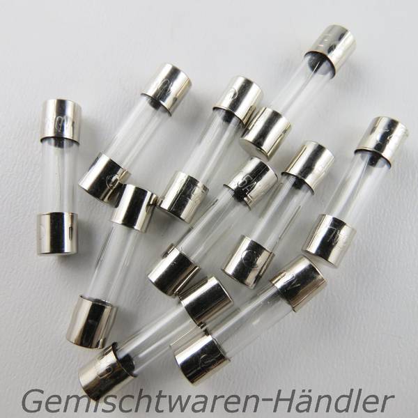 10 Stück Feinsicherungen