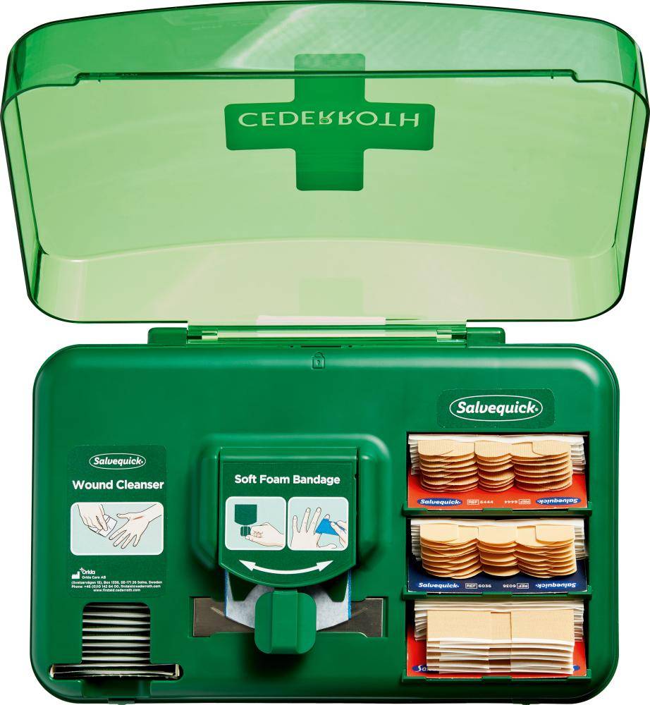 Orkla Wound Care AB Pflasterspender Plus B306xH155xT155ca.mm grün,transparent CEDERROTH 51011006-0