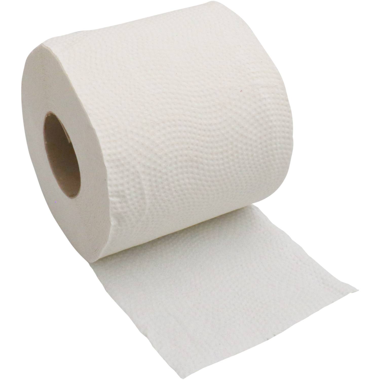 Toilettenpapier 2-lagig 10x14 cm, 250-Blatt-Rolle, 8-Rollen-Pg-2