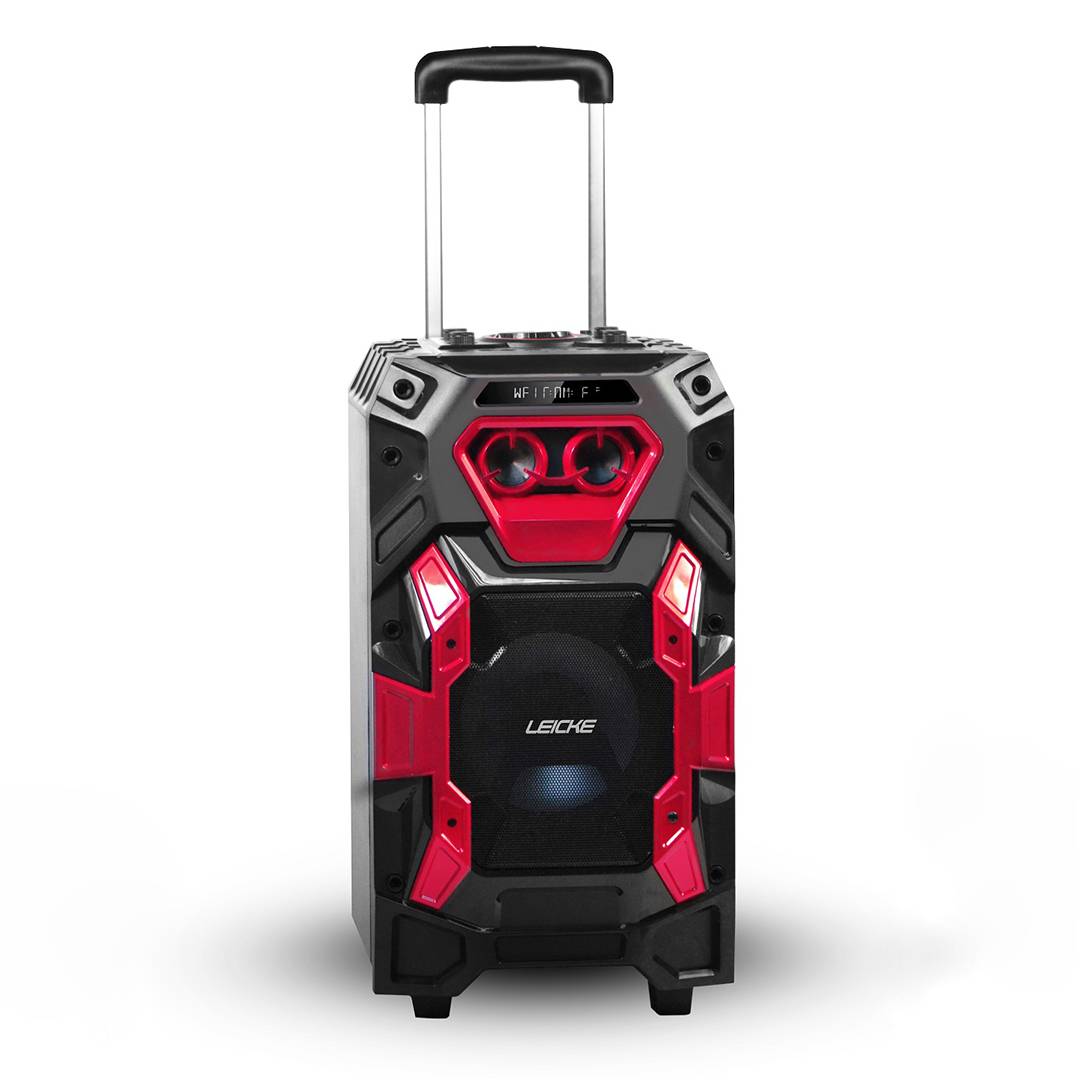 LEICKE DJ ROXXX Pro Audio & Video Soundsysteme-4