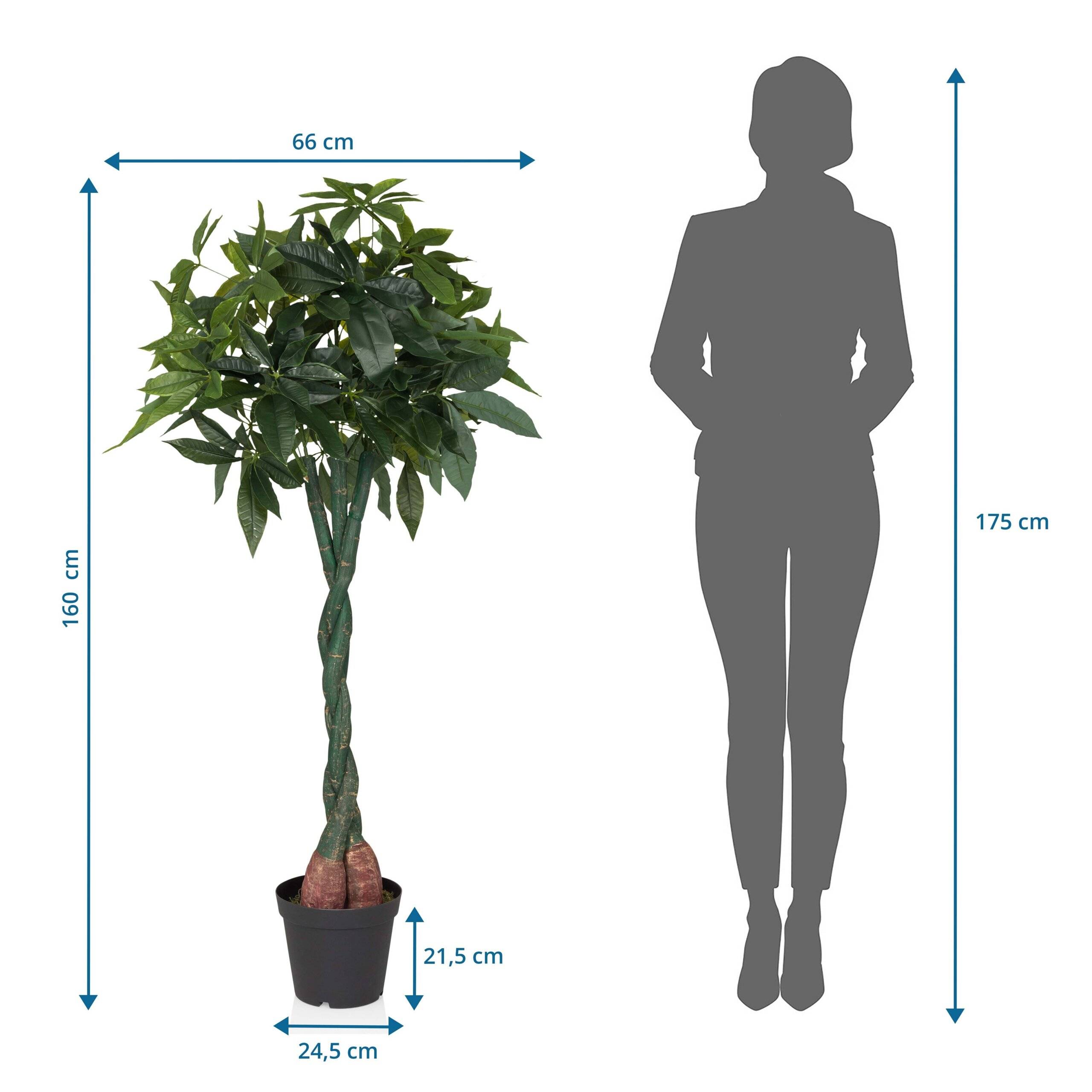 Kunstpflanze Kunstbaum PACHIRA Glückskastanie 160 cm Kunststoff grün hjh OFFICE-1