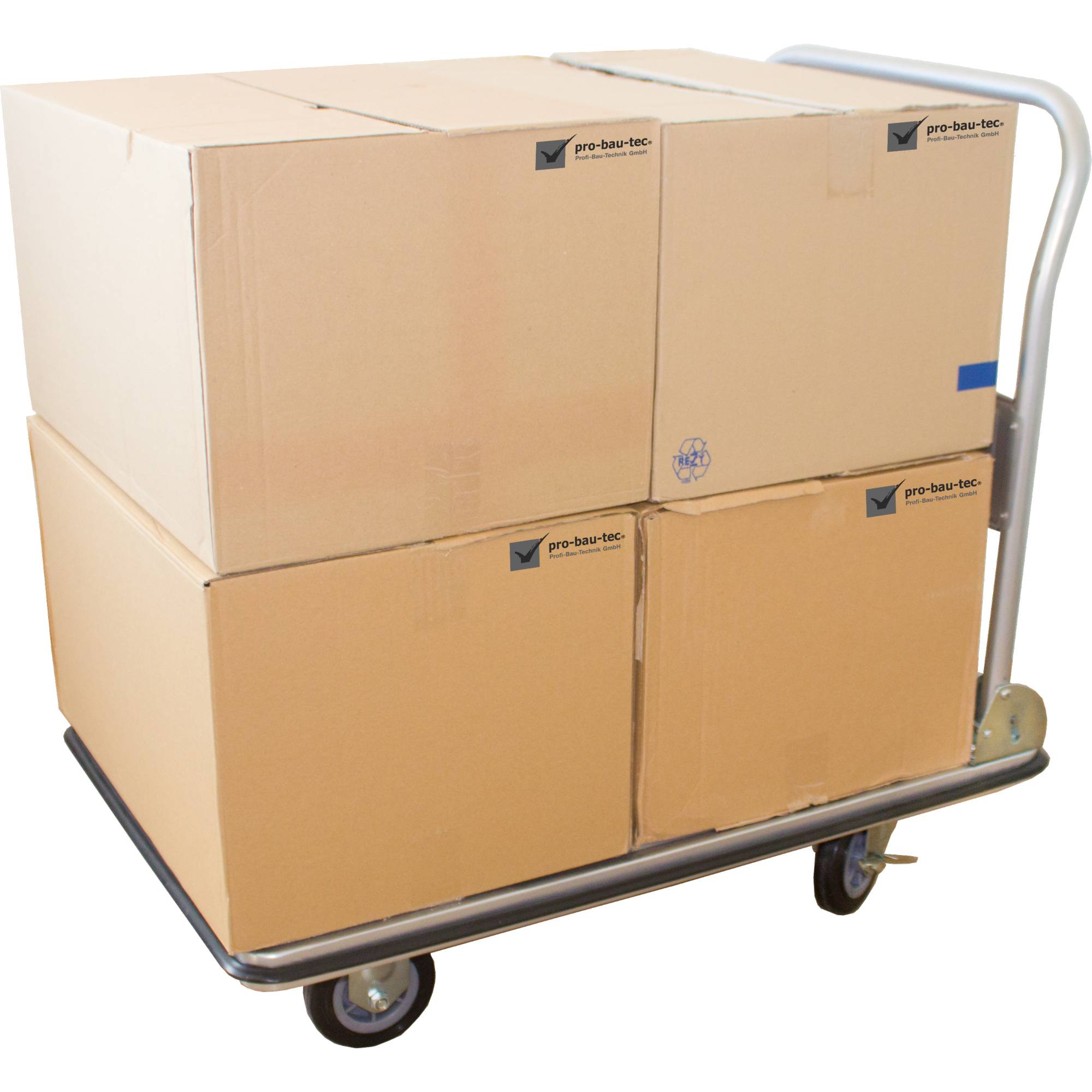 Plattformwagen 250kg-2