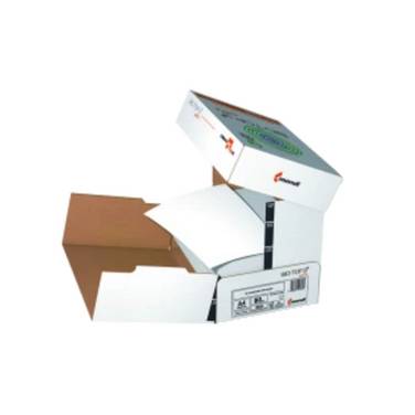 Papier A4 80g ws 2.500Bl