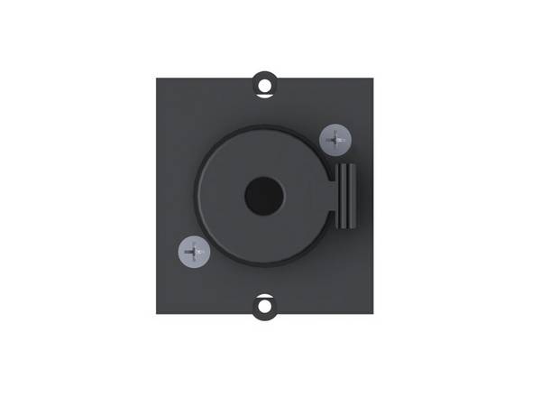 Bachmann Custom Modul 1x Klinke 6,3mm Stereo (917.036)