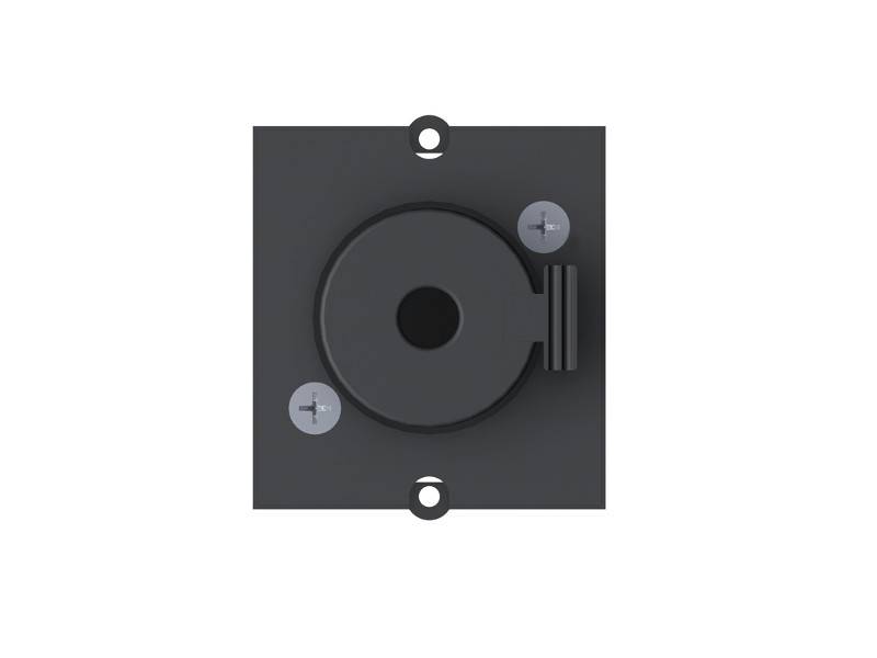 Bachmann Custom Modul 1x Klinke 6,3mm Stereo (917.036)-0