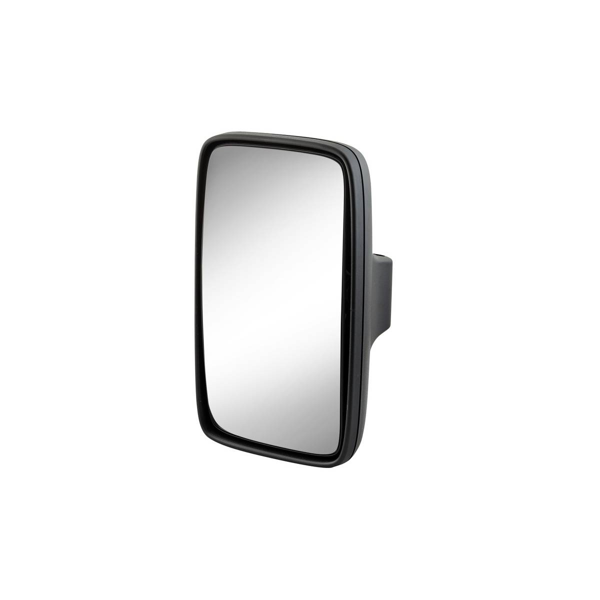 Außenspiegel beidseitig 171 mm Ø 18 mm schwarz HELLA für u.a. MB VARIO-0