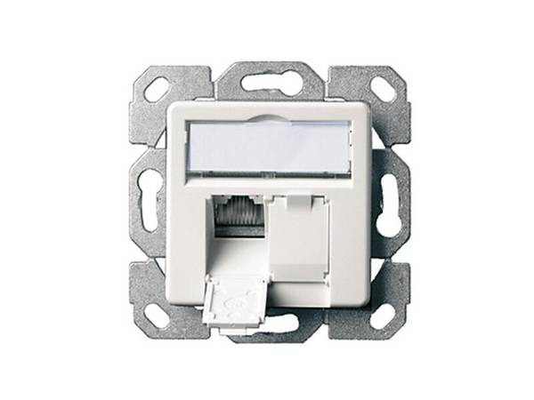 Telegärtner Modul Aufnahme Brüstungskanal AMJ-S DD 2-fach UP/50 T568A alpinweiß