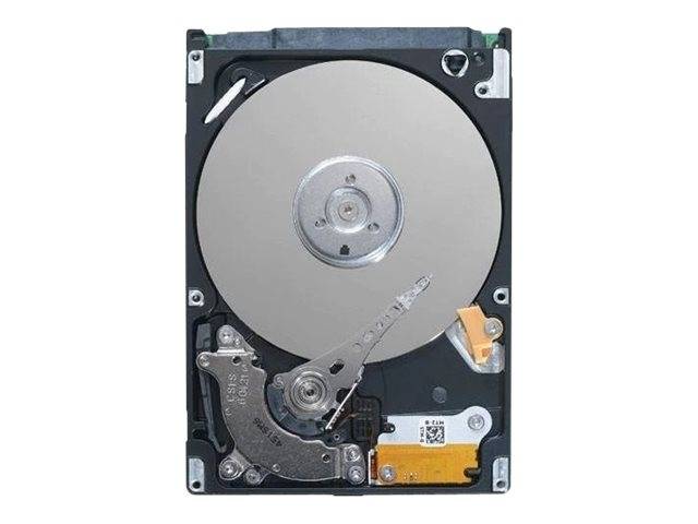 Dell 400-ALQT Festplatte - intern - nearline