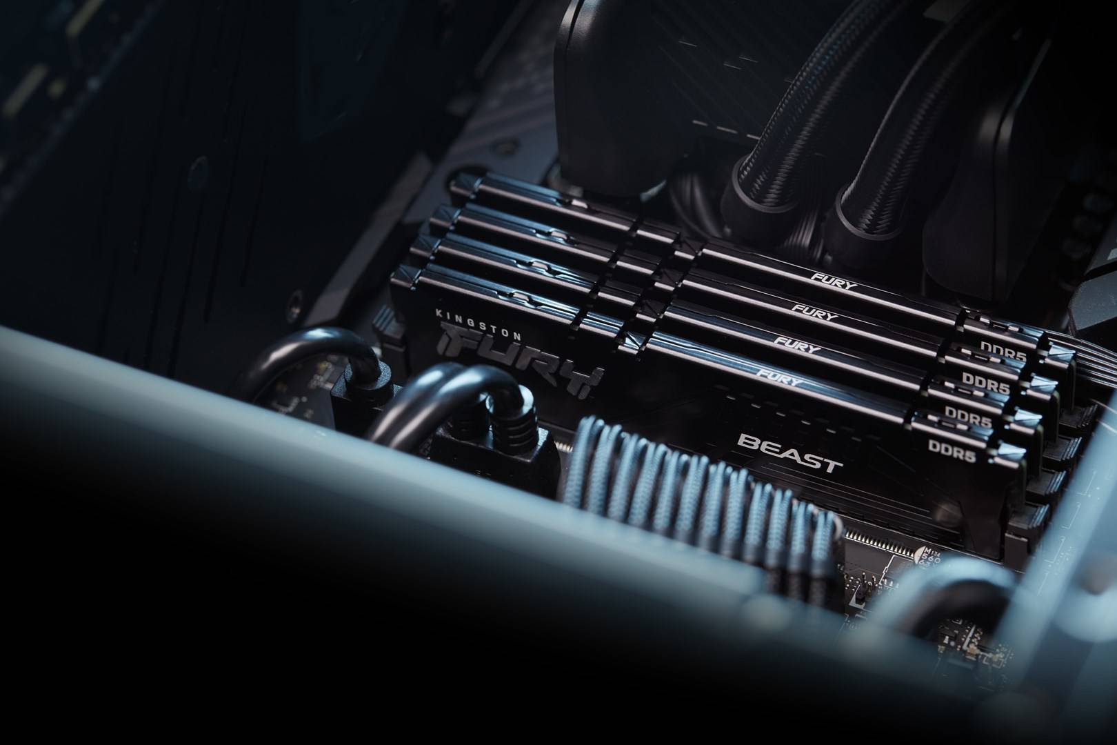 Kingston FURY Beast - DDR5 - Kit - 64 GB: 2 x 32 GB-2
