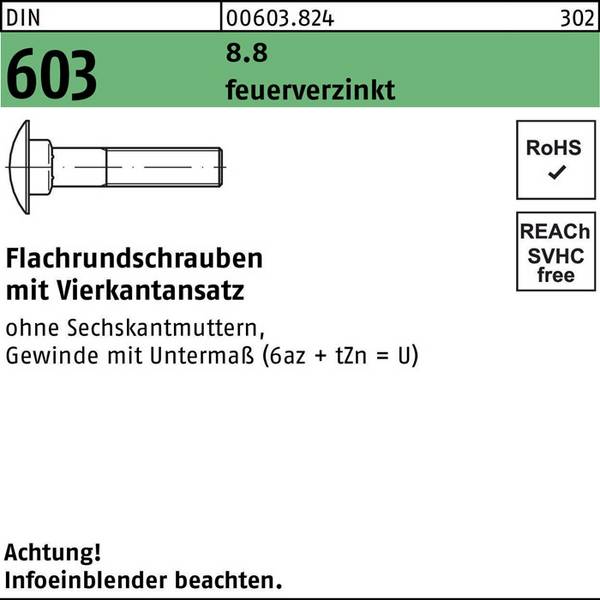 Flachrundschraube DIN 603 Vierkantansatz M10x 40 8.8 feuerverz. 100 Stück