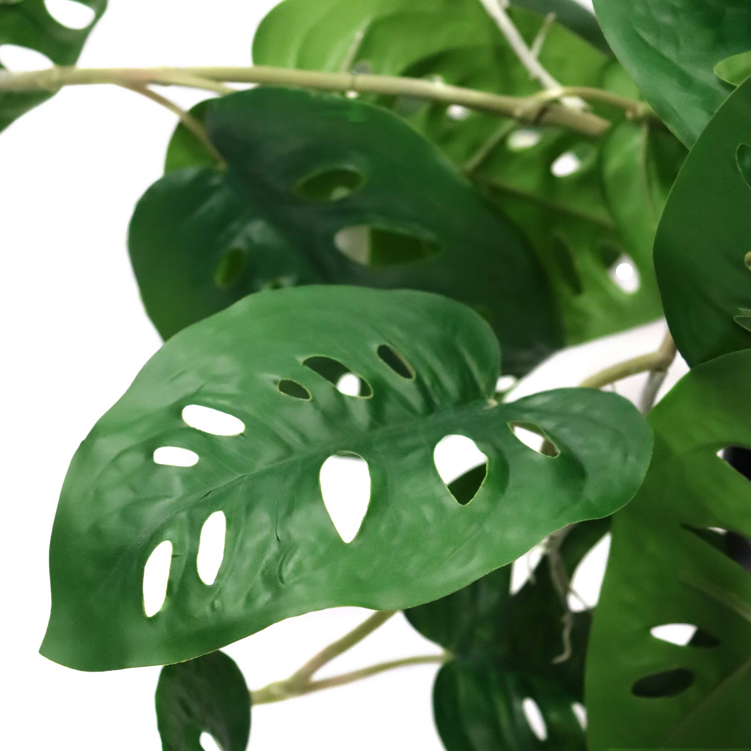 Kunstpflanze Hängepflanze MONSTERA CLIMB 100 cm grün hjh OFFICE-2