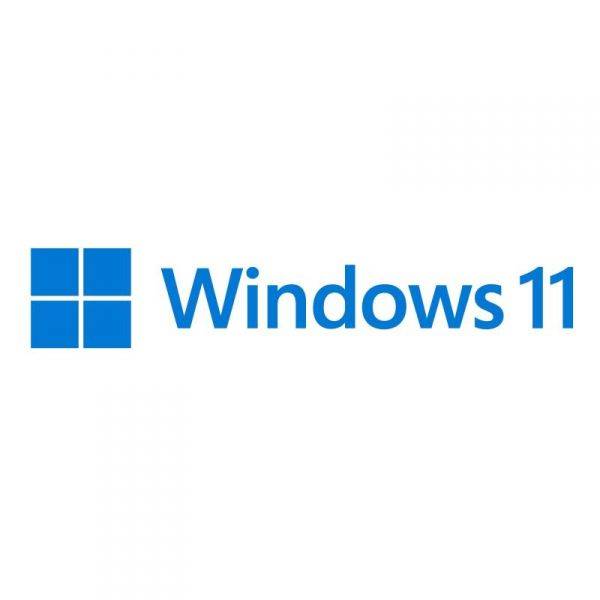 Microsoft Windows 11 Pro for Workstations - Lizenz - 1