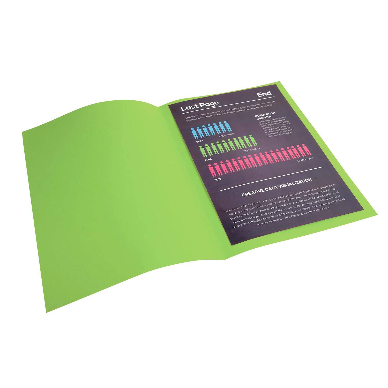Exacompta 100er Packung Aktendeckel ROCK''S 210 24x32cm - Grün - 210013E-3