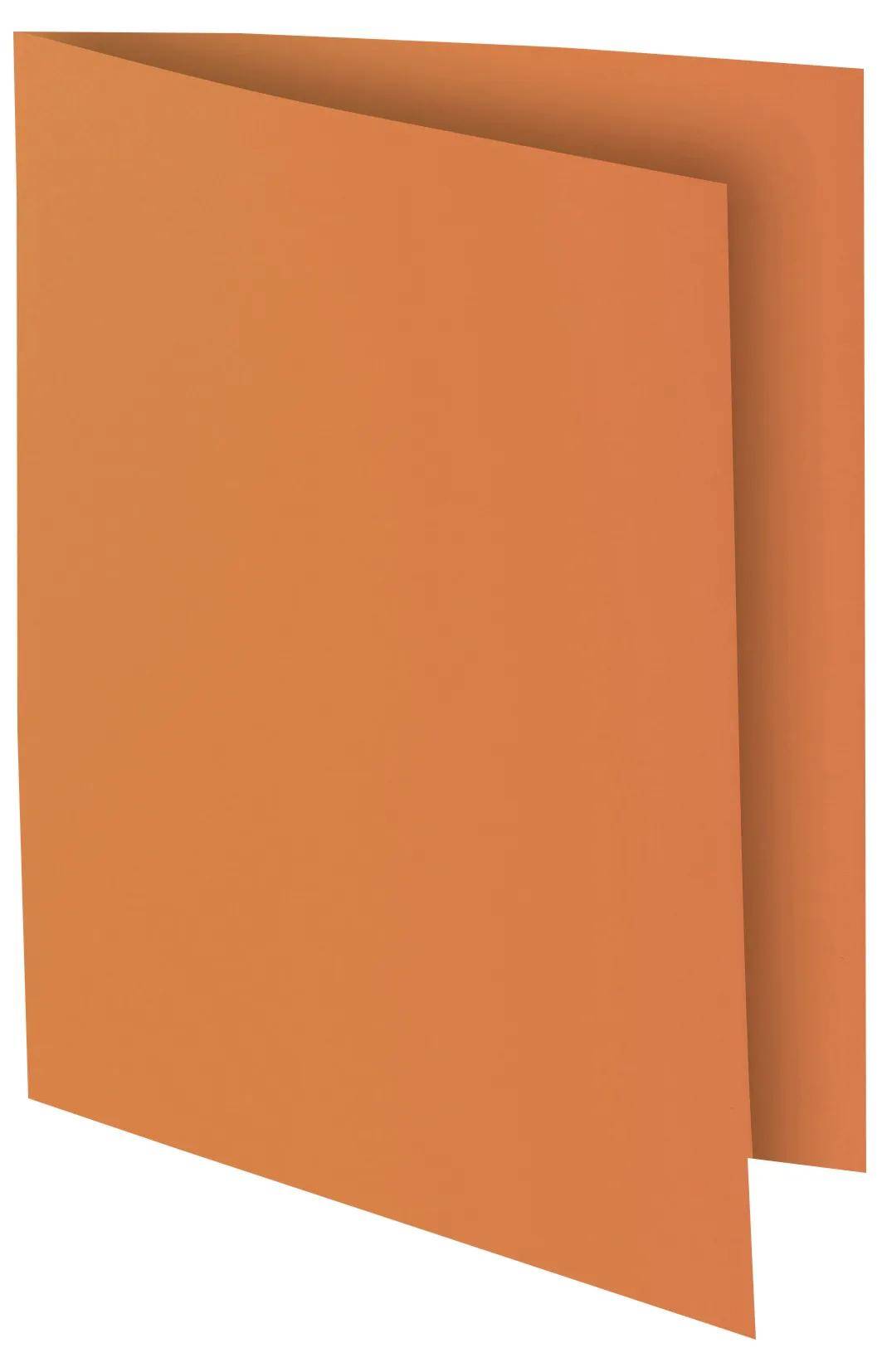 Exacompta Pack 100 Aktendeckeln ROCK''S 80, 22x31cm - sortiert - 800001E-4