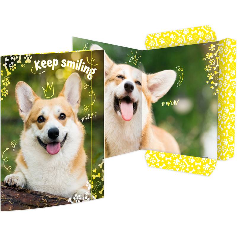 Gummizugmappe Corgi, 320 x 430 cm, A3 RNK 45382-0