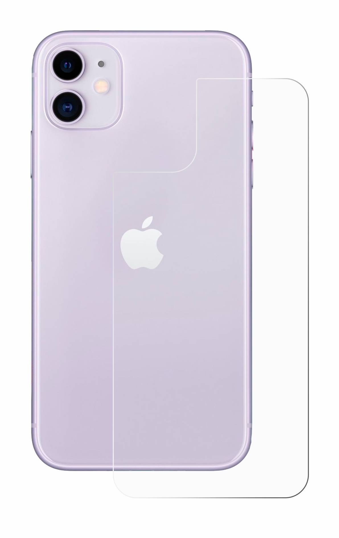 upscreen Schutzfolie für Apple iPhone 11 (Rückseite) Antibakterielle Folie Klar Anti-Kratzer-2