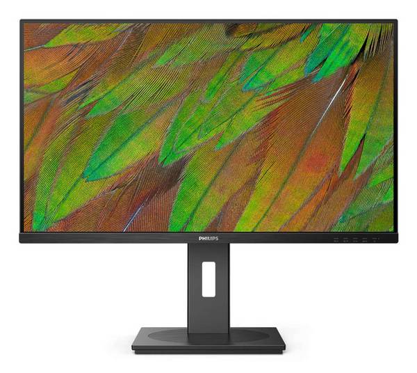 Philips 80,0cm (31,5") 32B1N3800 16:09 HDMI+DP+USB black
