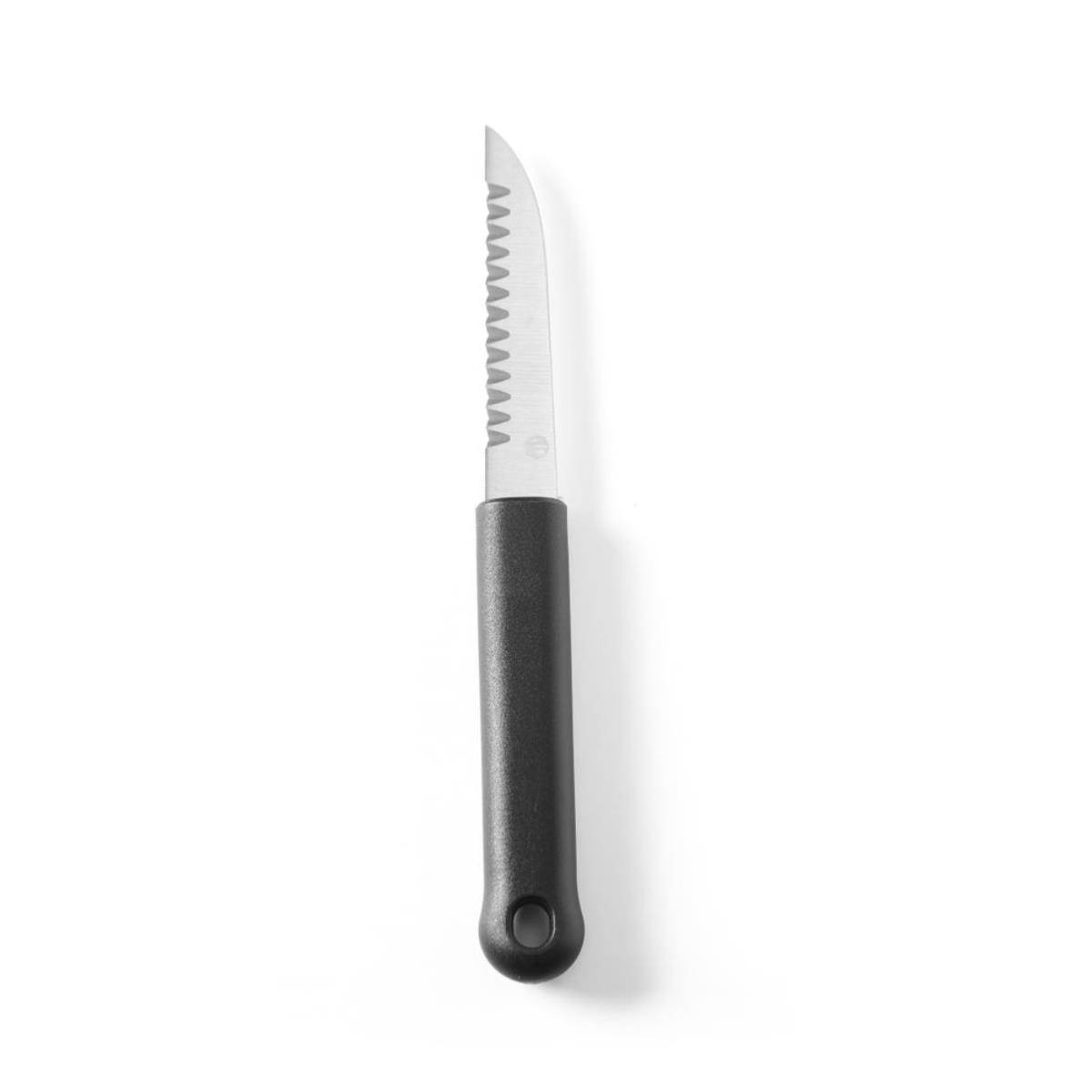 HENDI Dekoriermesserset - 6-teilig, Schwarz, 280x100x(H)50mm-3