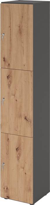 Schließfachschrank Zylinderschl.Graphit/Asteiche H2156xB400xT420mm-0