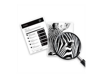 HP 963XL - 47.86 ml - Hohe Ergiebigkeit - Schwarz-1