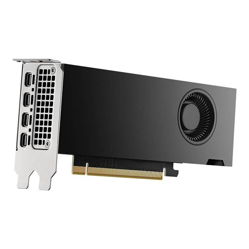 PNY NVIDIA RTX 2000 Ada Generation - Grafikkarte-1